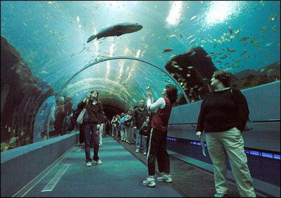 Top 10 Tourist Attractions in Boston Things To See in Boston