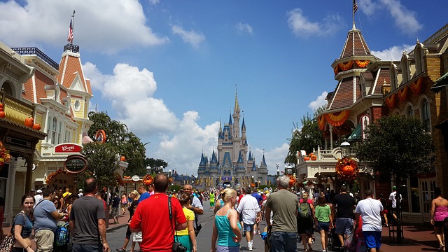 Disneyland Magic Kingdom Fantasy Castle