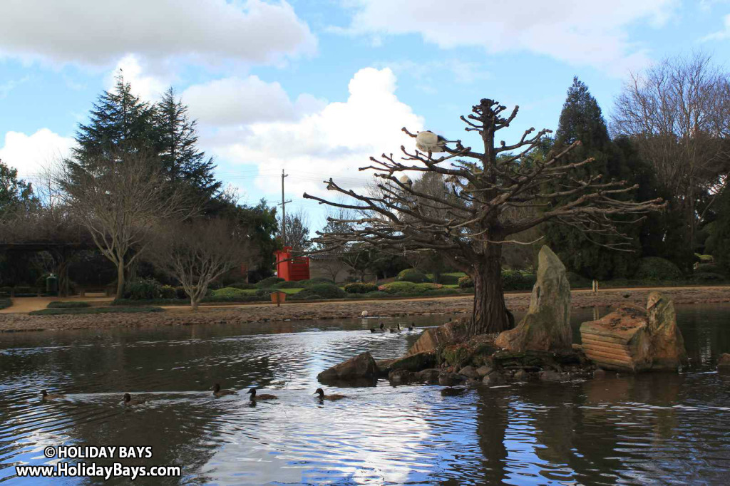 Japanese Gardens in Toowoomba, Japanese Garden