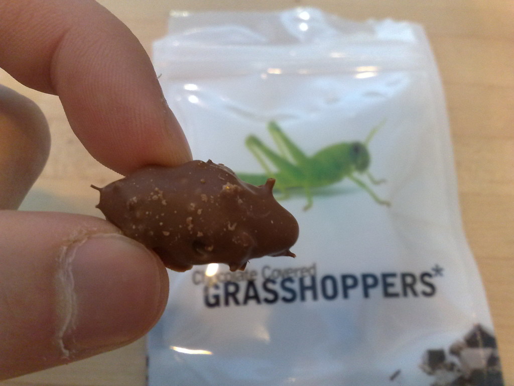 grasshopper chocolate