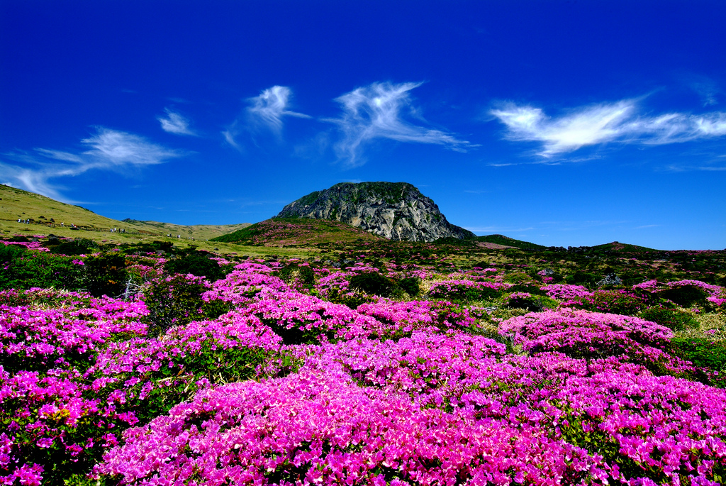 Amazing Jeju Island! Top 12 Attractions in South Korea’s Holiday Island (4)