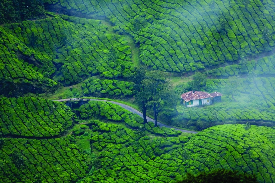#4 Eminent Places for the Perfect Kerala Honeymoon Packages
